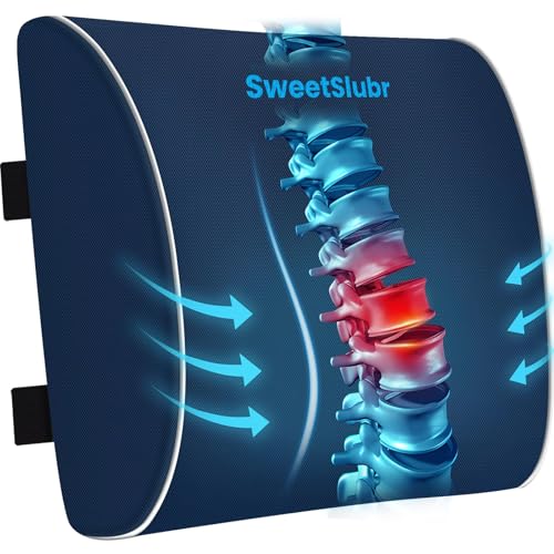 SweetSlubr Lumbar Support Pillow for Office Chair, Back Support(Blue,XL) - color: Blue, size: X-Large