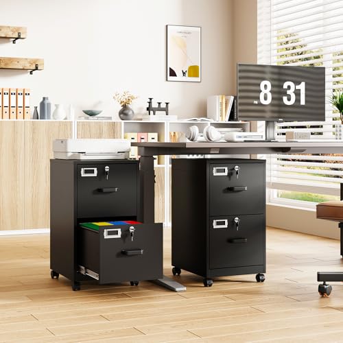 2-Drawer File Cabinet with Lock, Mobile Vertical File Cabinet for Hanging A4/Letter/Legal Size Folder, Under Desk Rolling Filing Cabinets for Home Office, Assembly Required,Black - color: Black, size: 15"W x 27.4"H x 17.7"D