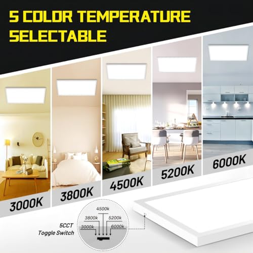 1x2 LED Flat Panel Light Surface Mount 2-Pack, Flush Mount Ceiling Light 24W 2880LM, 5CCT 3000K/3800K/4500K/5200K/6000K, Dimmable Panel Lights - color: White, size: 1Ft. x 2Ft. (2-PACK)