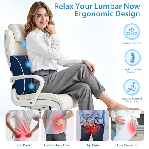 SweetSlubr Lumbar Support Pillow for Office Chair, Back Support(Blue,XL) - color: Blue, size: X-Large