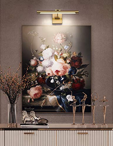 LED Picture Light Fixtures 16.54 Inches, Modern Metal Artwork Wall Lamps with Single Swing Arm, 7W (50W Eqv.), Hardwired Connection, Dimmable, 3000K Warm White, CRI95+, Golden-Like Brass Finish - color: Brass, size: Dimmable 16.53" Long