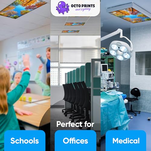 Fluorescent Light Covers for Ceiling Lights Classroom Magnetic Seasons 4pk - color: 4 Seasons