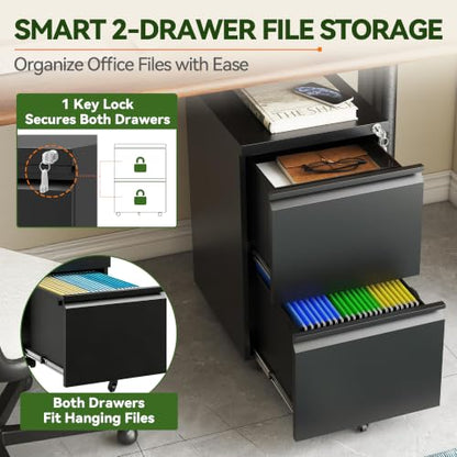 SAWJEC 2 Drawer Rolling File Cabinet Fully Assembled, Black - color: 01b-black