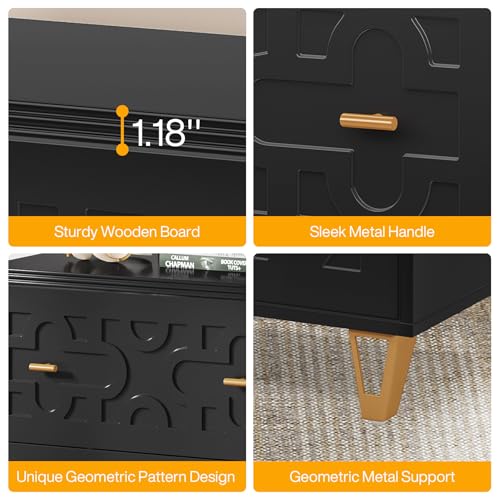 Tribesigns 2-Drawer Lateral File Cabinet, Black and Gold | Modern, Legal/Letter/A4 Size, Large Storage, Printer Stand, Home Office - color: Black & Gold