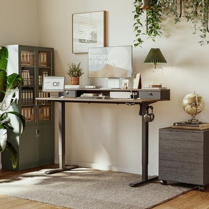 Agilestic 55 * 24 Inch Electric Standing Desk with Drawers, Rustic Brown - color: Rustic Brown, size: 55 x 24 Inches with 2 drawers