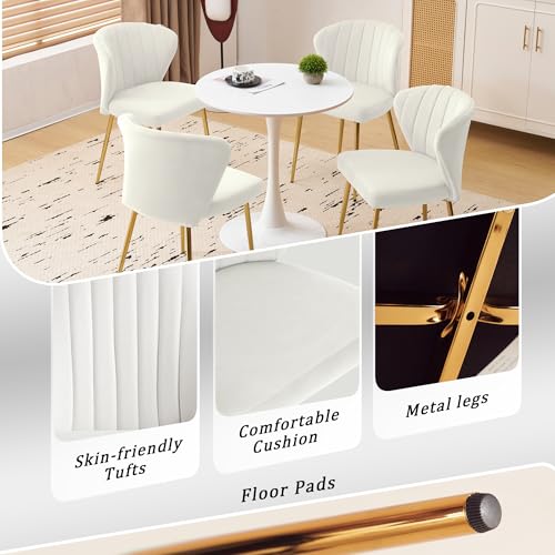 Velvet Dining Chairs Set of 2, Modern Upholstered Vanity Chairs with Golden Metal Legs for Dining Room Kitchen Vanity Patio (White) - color: White-1