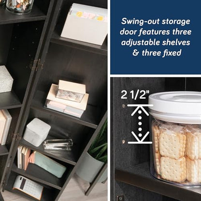 Sauder HomePlus Storage Cabinet, Raven Oak Finish - color: Raven Oak Finish