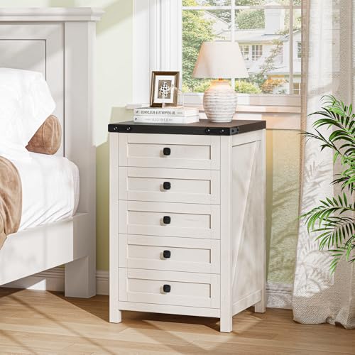Halitaa 5 Drawer Small File Cabinet, Farmhouse Vertical Filing Cabinet - color: Rustic White and Black
