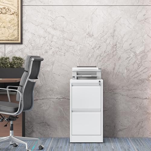 File Cabinet, 2 Drawer File Cabinet with Lock, Steel Vertical Filing Cabinets for Home Office, Heavy Duty File Storage Cabinet for Legal/Letter/A4 Documents, Easy to Assemble, White - color: White, size: 2-Drawer