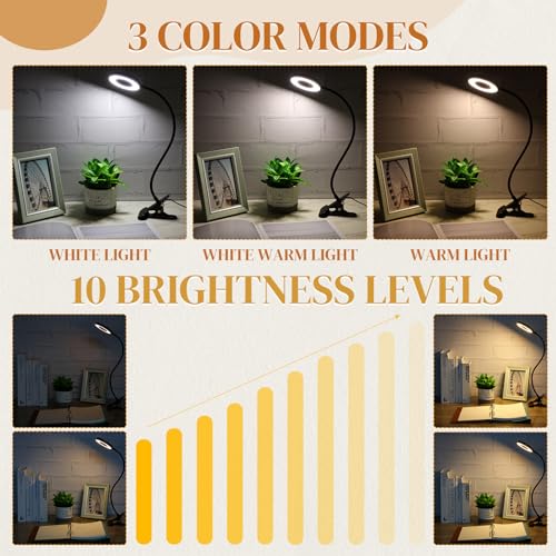Glooglitter 4 Pcs Clip on Ring Light Desk Lamp 48 LED USB 3 Colors, Black - color: Black