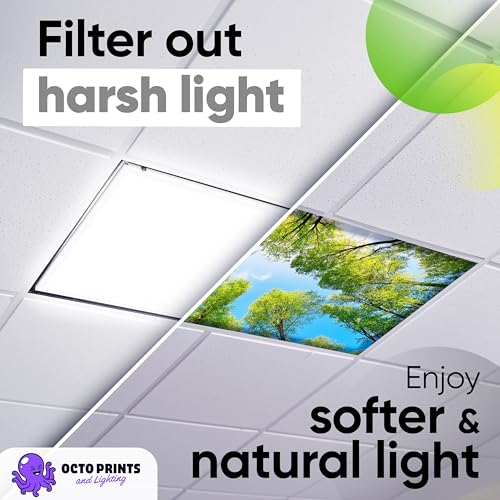 Fluorescent Light Covers for Ceiling Lights Classroom Magnetic Seasons 4pk - color: 4 Seasons