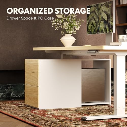 FLEXISPOT EN2 55"x28" Standing Desk Bundle with Storage Cabinet, White - color: White Top + White Frame, size: 55x28 | Cabinet