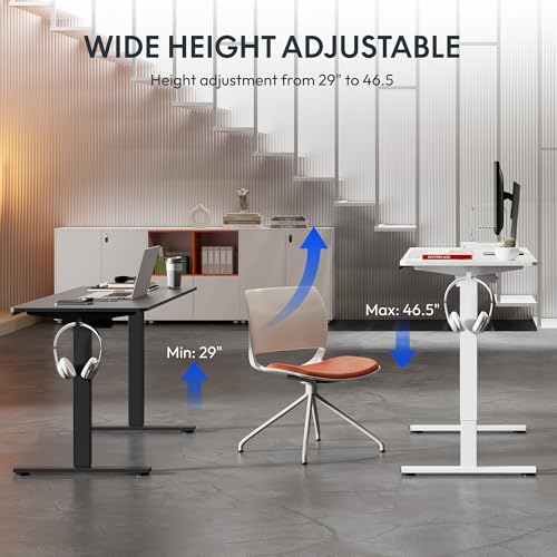 FLEXISPOT 48x24 Inch Electric Standing Desk, Black - color: Black, size: 48"x24"