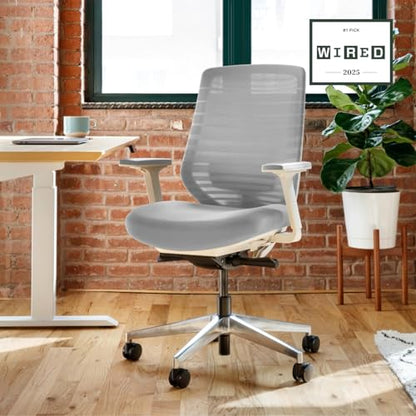 Branch Ergonomic Chair, Versatile Desk Chair with Adjustable Lumbar Support