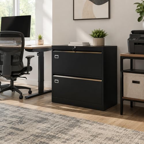 2 Drawer Lateral File Cabinet with Lock, Metal Filing Cabinet for Legal Letter and A4 Files, Black Cold Rolled Steel Office Storage Cabinet, Compact Lockable File Organizer - size: 2 Drawers