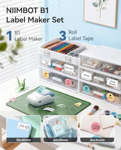 NIIMBOT B1 Label Maker Machine with 3 Tapes, 2Inch Thermal Label Printer - color: Light Blue, style: 1 Printer+3 Roll Labels