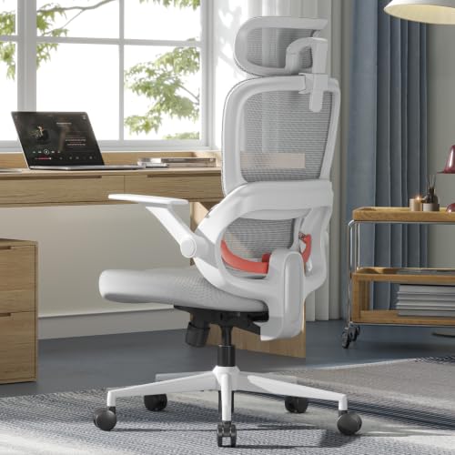 SIHOO B100 SE Office Chair, Soft Memory Foam Desk Chair with Adaptive Lumbar Support & 2D Flip-up Armrests, 135° tilt Computer Chair for Home Office, White - color: Soft Black