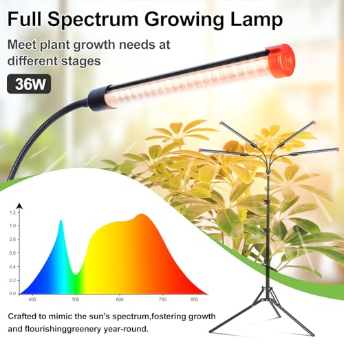 4Head Grow Light with Stand for Tall Indoor Plants, Bonsai Tree, Bright Full Spectrum Plant Growing Lamps, 4/8/12/16/20H Timer, 36 Watt Power Draw, NO Need Adapter, 360° Gooseneck - size: Stand-4Head-36W