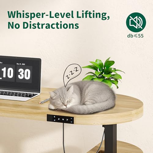 Electric Standing Desk, Sit Stand Up Desk, Adjustable Height Executive Desk - color: Natural-55"