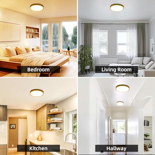 hykolity 12 Inch Selectable CCT LED Round Flat Panel Light,2 Pack | 24W 3000K/4000K/5000K, Edge-Lit Flush Mount Ceiling Light Fixture for Kitchen, Bedroom, Laundry and Closet Room,Gold - color: Gold, size: 12 inch
