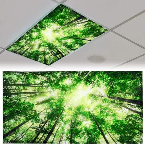 Patelai 4x2 Feet Light Covers for Classroom, Magnetic,Forest | Sky Cloud Print for Office Decor, Drop Ceiling Compatible, 10 Magnets Included, Filters Harsh Fluorescent Lighting - style: Forest