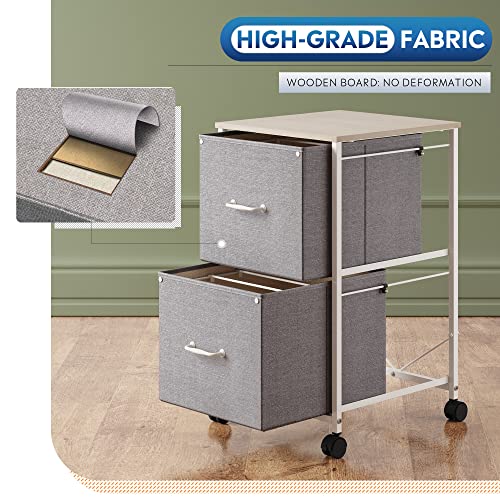 DEVAISE 2 Drawer Mobile File Cabinet, Fabric Vertical Filing Cabinet - color: Light Grey