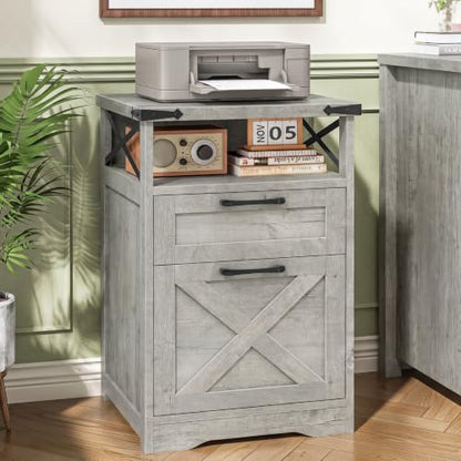 Halitaa Office Filing Vertical Cabinet with 2 Drawers, Grey | Farmhouse Filing Cabinet with Open Storage Space and Printer Stand for Hanging Files Letter/A4 for Home Office - color: Grey, style: Vertical