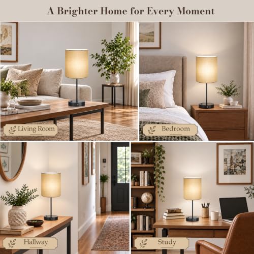 Lynnoland Set of 2 Touch Control Table Lamps, 3-Way Dimmable Bedside Nightstand Lamps for Bedroom Living Room Nursery, 800 Lumens 5000K Warmlight Bulbs Included,Champagne Gold - color: Champagne Gold & Matte Black