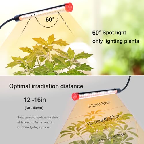 6Head Grow Light with Stand for Tall and Large Indoor Plants, Bonsai Tree, Big Coverage and Bright Plant Growing Lamps, 4/8/12/16/20H Timer, 54 Watt Power Draw, NO Need Adapter, 360° Gooseneck - size: Stand-6Head-54W
