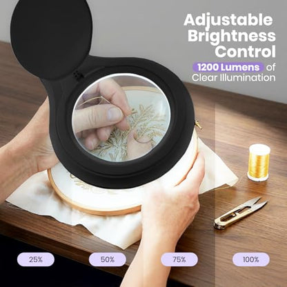 Neatfi LED Bifocal Magnifying Lamp 1,200 Lumens – 5” Glass Lens, Dual Magnification 3X/6X, Dimmable Task Light | Adjustable Arm with Clamp | Crafting, Jewelry & Reading (8 Diopter + 20 Diopter, Black) - color: Black, size: 8 Diopter + 20 Diopter
