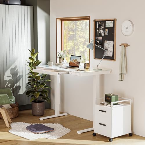 BANTI Electric Standing Desk with Drawers, 55 inch Whole-Piece Glass Desktop, Height Adjustable Stand up Sit Stand Home Office Ergonomic Workstation, White Tabletop - color: White, size: 55 Inch