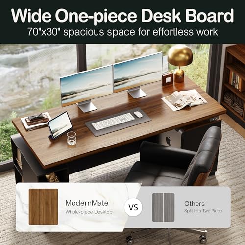71" Executive Standing Desk with Privacy Panel, Black Walnut | Electric Height Adjustable with One-Piece Desktop, Built-In Power Outlets and Storage, Home Office Executive Workstation