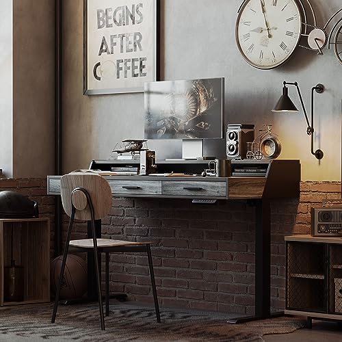 FEZIBO Electric Standing Desk 55x26 Inches with 3 Wood Drawers and Monitor Shelf, Height Adjustable Computer Desk, Ergonomic Rising Home Office Desks, Sit Stand Up Workstation Table, Rustic Grey