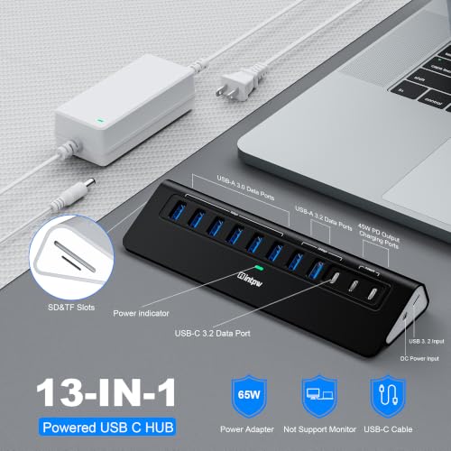 Powered USB Hub 10Gbps, Intpw YH9AC Plus 13-Port USB 3.2 Hub(USB A/USB C 3.2+6 USB-A 3.0+2 PD 45W Fast Charging Ports+SD/TF Card Reader), 65W Power Adapter,Aluminum USB HUB for PC,Laptop,iPhone 17/16 - color: Black, size: 13 Port