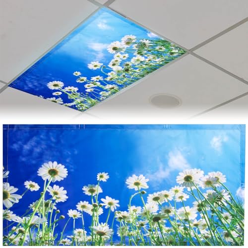 Patelai 4x2 Feet Light Covers for Classroom, Magnetic,Chamomile | Sky Cloud Print for Office Decor, Drop Ceiling Compatible, 10 Magnets Included, Filters Harsh Fluorescent Lighting - style: Chamomile
