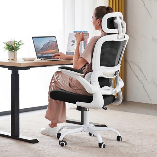 TRALT Office Chair Ergonomic Desk Chair - Gaming Chair with Lumbar Support | 330 LBS Home Office Desk Chairs with Headrest, Reading Chair with Flip-up Armrests, Comfortable Computer Chairs (1, Black) - color: Black & White
