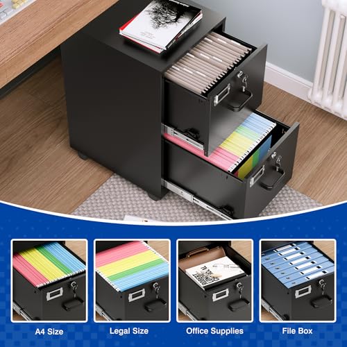 BYNSOE 2 Drawers File Cabinet with Lock Metal Vertical File Cabient with Wheels Mobile File Cabinet for Office Home Legal/Letter/a4 Size Require Assembly - color: Black, size: 27.36"H x 17.71"D x 15"W