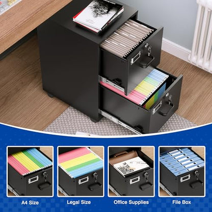 BYNSOE 2 Drawers File Cabinet with Lock Metal Vertical File Cabient with Wheels Mobile File Cabinet for Office Home Legal/Letter/a4 Size Require Assembly - color: Black, size: 27.36"H x 17.71"D x 15"W