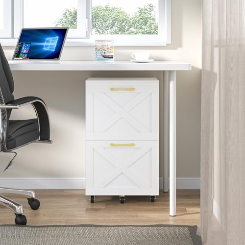 Halitaa Farmhouse 2 Drawer Small File Cabinet with Wheels, White - color: White