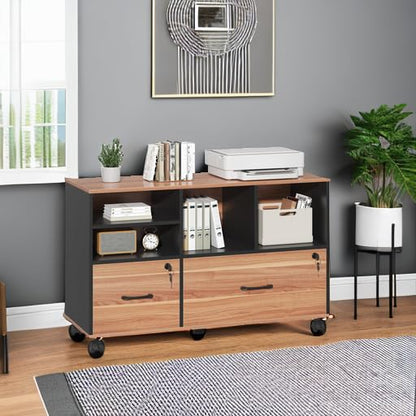 2 Drawer File Cabinet for Home Office, Lockable Rolling Filing Cabinet with Adjustable Shelves, Wood Lateral File Cabinet with Lock, Printer Stand Office Storage Cabinet, Rustic Brown & Black - color: Walnut and Black-2 Drawers