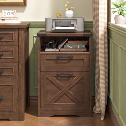 Halitaa Office Filing Vertical Cabinet with 2 Drawers, Walnut | Farmhouse Filing Cabinet with Open Storage Space and Printer Stand for Hanging Files Letter/A4 for Home Office - color: Walnut, style: Vertical