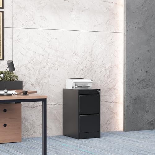 2 Drawer File Cabinet for Home Office, Vertical Filing Cabinet | Metal Lockable File Cabinet for Storage, Ideal for Legal/Letter/A4 Files, 28.8"H x 17.7"D x 15.2"W, Require Assembly, Black - color: Black, size: 28.8"H - 2 Drawer