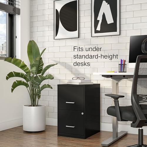 Staples 2-Drawer Vertical File Cabinet, Letter Size Documents, Lockable, 18.9" D x 14.3" W x 24.1" H, Black - color: Black, style: 1 Pack