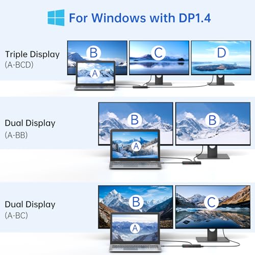 13-in-1 Docking Station Dual Monitor 4K, LIONWEI USB C Dock for Laptop Mac - color: Black-13 IN 1(2 HDMI+DP)