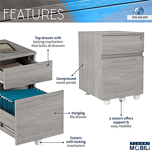 2‑Drawer Rolling File Cabinet with Lock, Under‑Desk Storage & Wheels, Grey