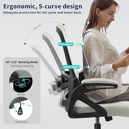 Ergonomic Office Chair Desk Chair with Adjustable Lumbar Support - color: Dark Gray