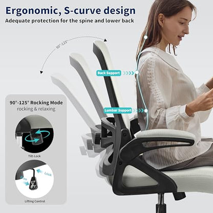Ergonomic Office Chair Desk Chair with Adjustable Lumbar Support - color: Dark Gray