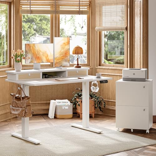 TIQLAB Standing Desk with Two Drawers, Stand Up Standing Desk Adjustable Height, Electric Sit Stand Table with Storage Shelf and Splice Board, 55 * 24 inch, White Wicker - color: White Wicker, size: 55*24 inch without keyboard tray