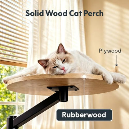 FLEXISPOT EN2 55"x28" Standing Desk with Solid Wood Cat Bed, White - color: White Top + White Frame, size: 55x28 | Cat Bed