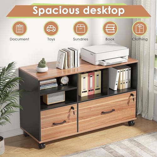 2 Drawer File Cabinet for Home Office, Lockable Rolling Filing Cabinet with Adjustable Shelves, Wood Lateral File Cabinet with Lock, Printer Stand Office Storage Cabinet, Rustic Brown & Black - color: Walnut and Black-2 Drawers